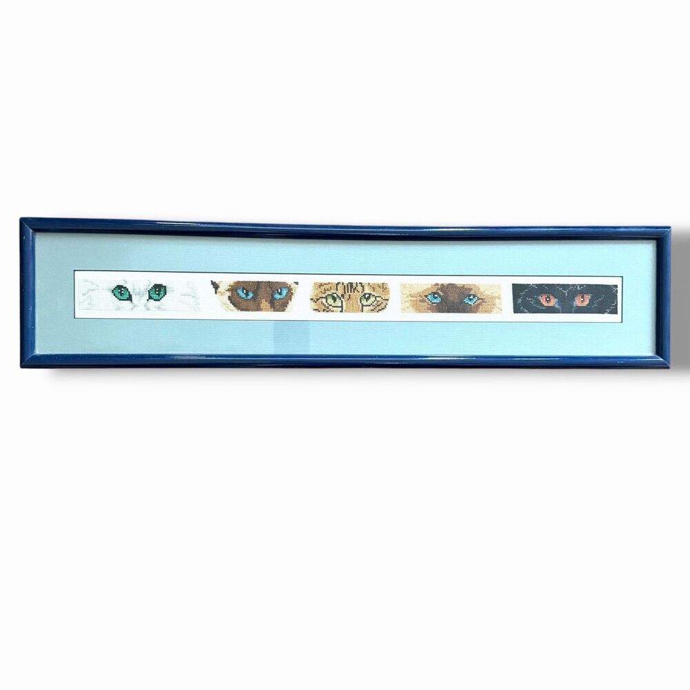 Framed Cross-Stitch Cat Eyes Art 28.5 inx6 in Veterinary Cat Lover